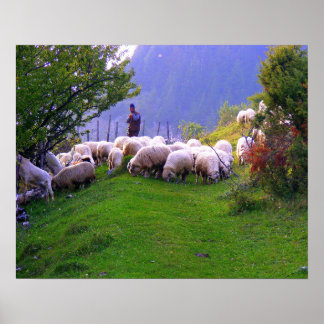 Hirte und seine Schafe Poster