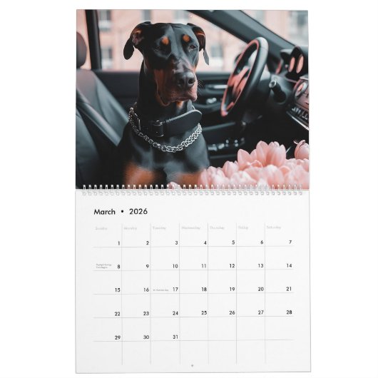 Hirten und Dobermans. 2024 Kalender (Mär 2026)