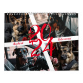 Hirten und Dobermans. 2024 Kalender (Titelbild)