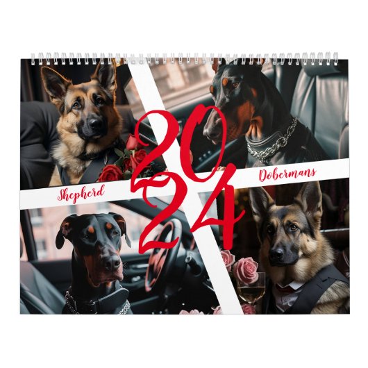 Hirten und Dobermans. 2024 Kalender (Titelbild)
