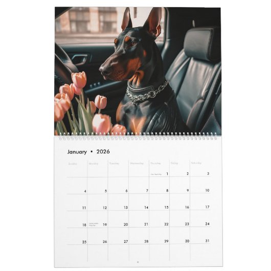 Hirten und Dobermans. 2024 Kalender (Jan 2026)