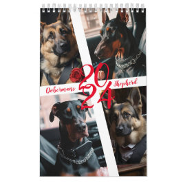 Hirten und Dobermans. 2024 Kalender