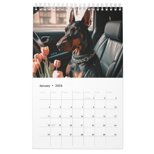 Hirten und Dobermans. 2024 Kalender (Jan 2026)