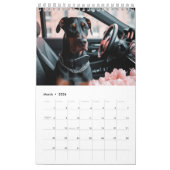 Hirten und Dobermans. 2024 Kalender (Mär 2026)