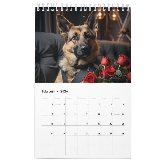 Hirten und Dobermans. 2024 Kalender (Feb 2026)