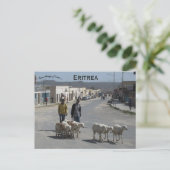 Hirten und ihre Fahne in Dekemhare Eritrea Postkarte (Stehend Vorderseite)