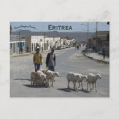 Hirten und ihre Fahne in Dekemhare Eritrea Postkarte (Vorderseite)