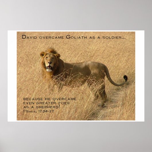 Hirtenförderung Poster (Vorne)