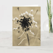 Hirtenfresse in Sepia Karte (Vorderseite)