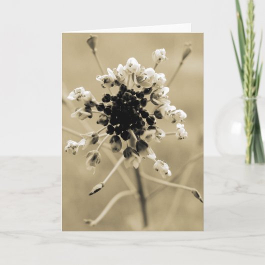 Hirtenfresse in Sepia Karte (Vorderseite)