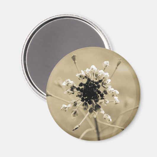 Hirtenfresse in Sepia Magnet (Vorderseite/Rückseite)