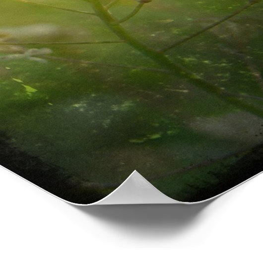 Hirtenfresse Poster (Ecke)