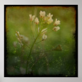 Hirtenfresse Poster (Vorne)