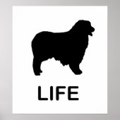 Hirtenleben Poster (Vorne)