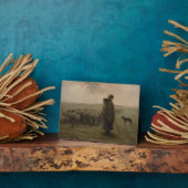 Hirtin | 1862-63 fotoplatte (Seite)