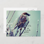 HIs Auge ist auf dem Sparrow Postkarte (Vorne/Hinten)
