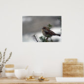 His Eye is on the Sparrow Poster (Küche)