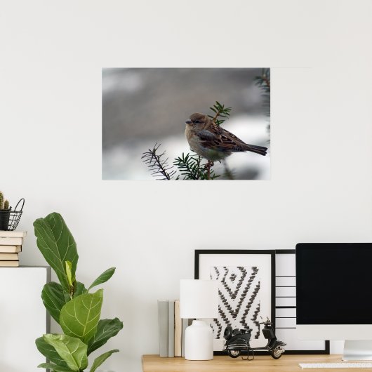 His Eye is on the Sparrow Poster (Heimbüro)