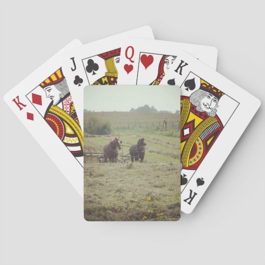 Hisptzeit Spielkarten (Rückseite)