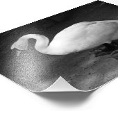 HiSS Fotodruck (Ecke)