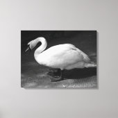 HiSS Leinwanddruck (Vorderseite)