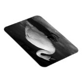 HiSS Magnet (Rechte Seite)