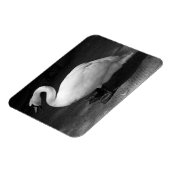 HiSS Magnet (Linke Seite)