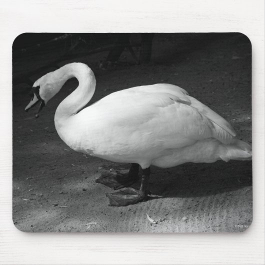 HiSS Mousepad (Vorne)