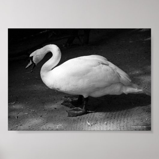 HiSS Poster (Vorne)