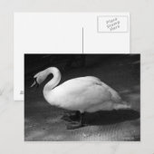 HiSS Postkarte (Vorne/Hinten)