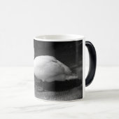 HiSS Verwandlungstasse (VorderseiteRechts)