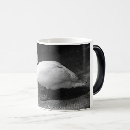 HiSS Verwandlungstasse (VorderseiteRechts)