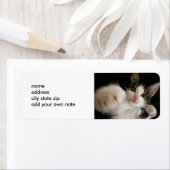 HISSABLE KISSABLE KITTY ETIKETT (Insitu)