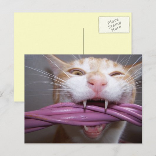 Hissed Postkarte (Vorne/Hinten)