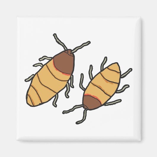 Hissing Cockroach Magnet (Vorne)