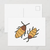 Hissing Cockroach Postkarte (Vorne/Hinten)