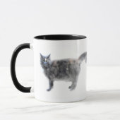 Hissy Katzen-Tasse Tasse (Links)