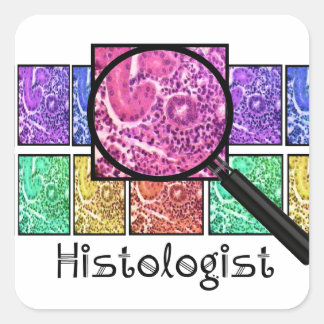 Histologin gibt Zellendesign Quadratischer Aufkleber