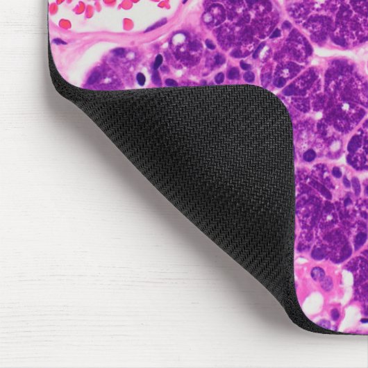Histology art - Mousepad (Ecke)