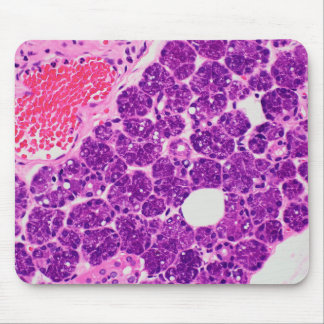 Histology art - Mousepad