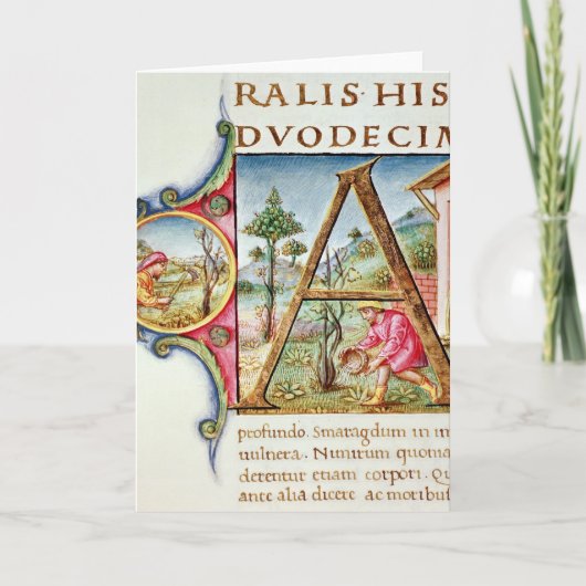 Historiated Initiale "A" darstellend (Vorderseite)