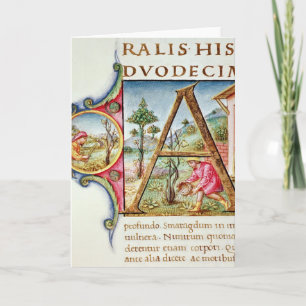 Historiated Initiale "A" darstellend