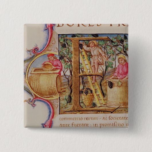 Historiated zeichnen "E ab", das Traubensammeln Button (Vorderseite)