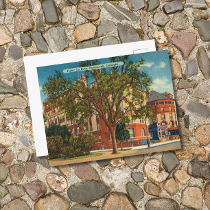 Historic DeSoto Hotel Savannah GA Postkarte