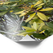 Historic Scotney Castle Kent England Fotodruck (Ecke)