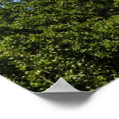 Historic St. Augustine, Florida Lighthouse Poster (Ecke)