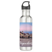 Historische Altstadt in Regensburg, Deutschland Edelstahlflasche (Vorderseite)