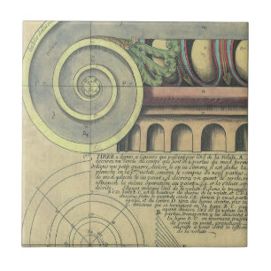 Historische Architektur; Kapitellvolute von Vignol Fliese