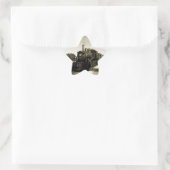 Historische Eisenbahn Stern-Aufkleber (Tasche)