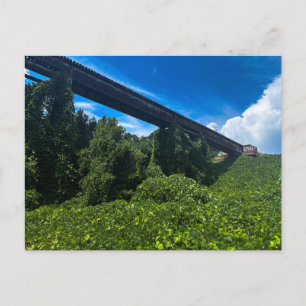 Historische Eisenbahnbrücke über den Alcovy River Postkarte